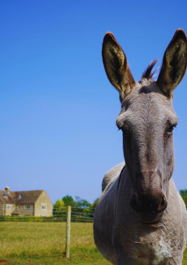 Banbury Hill Farm Bed & Breakfast Charlbury Luaran gambar